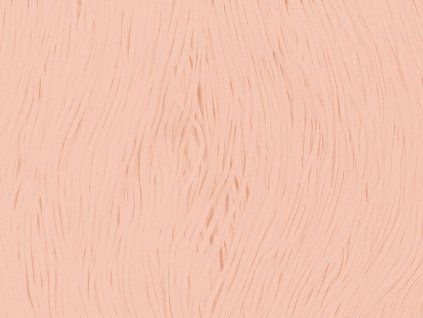 14253 trasne elasticke champagne delka 15 cm
