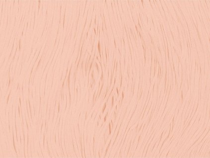 fringe-elastic-champagne-15cm.jpg