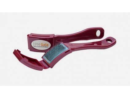 GA MAROON